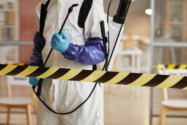 Professional Sewage Cleanup technician working in Palm Springs, FL