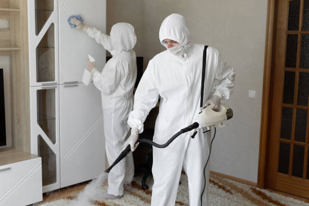 24/7 Emergency Sewage Cleanup experts in Palm Springs, FL